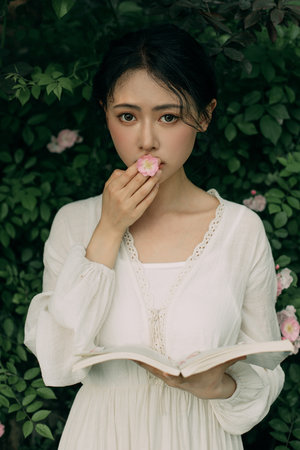 启示录在线观看免费观看